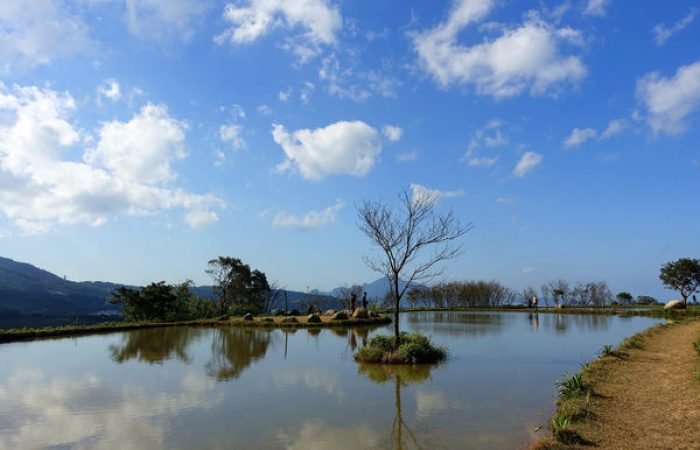 台北週末必訪「私房景點」大公開~