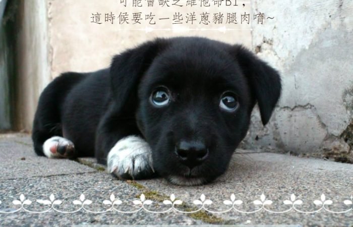 你經常感覺疲勞，長期食用「高醣食物」，你可能是缺乏維他命B1喔~ 