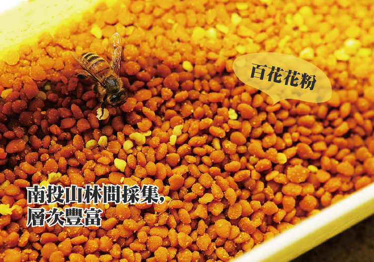 達摩蜂蜜：百花花粉